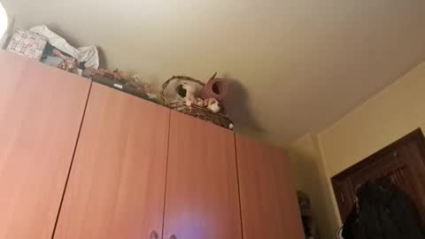 juanka85564456 online show from 01.20.25