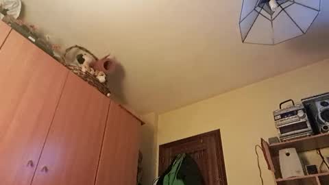 juanka85564456 online show from 01.29.25