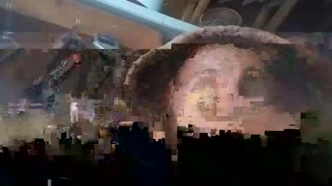 Carlos online show from 01.05.25