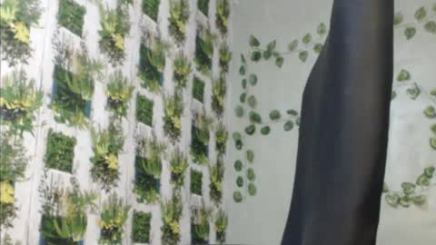 Mariagold online show from 12.09.24