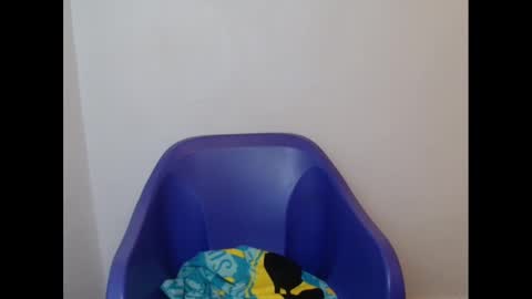 juicyxpink online show from 02.21.25