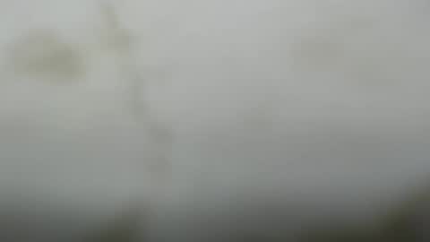 Dave online show from 03.10.26