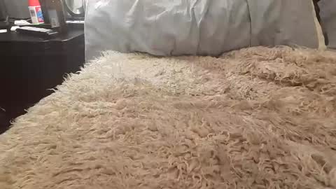 Jusme6269 online show from 01.08.25