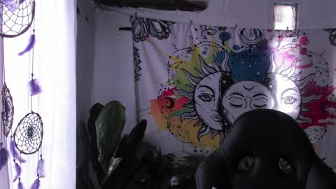 Sofia online show from 02.05.25