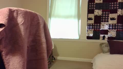 Wolf online show from 03.01.25