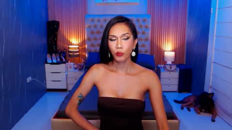 Jynx online show from 11.15.25