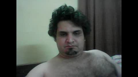 k9cat online show from 02.04.25