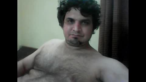 k9cat online show from 02.07.25