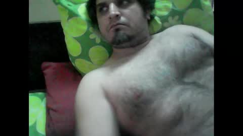 k9cat online show from 03.08.25