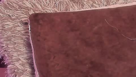 Snapshot of kalimonroee chatting on 12.29.24 KaliMonroe online show from 12.29.24