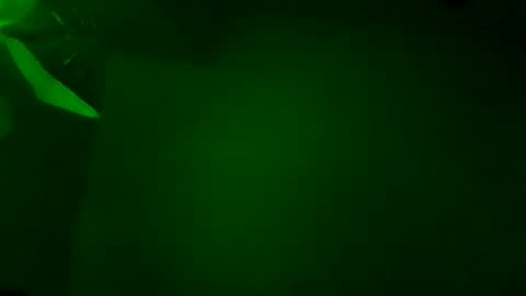 Karla Gonzaless online show from 11.05.25