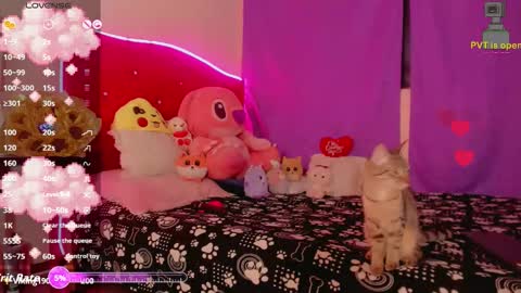 karol online show from 11.18.25