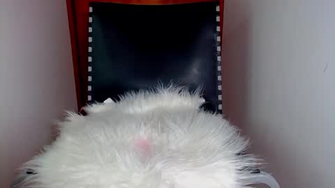 Snapshot of katalinaferreirax chatting on 12.17.24 katalinaferreirax online show from 12.17.24
