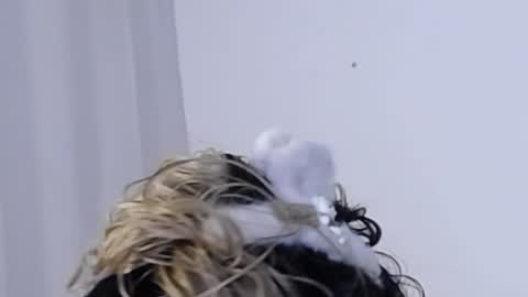 Help me with rate thanks  online show from 12.11.24