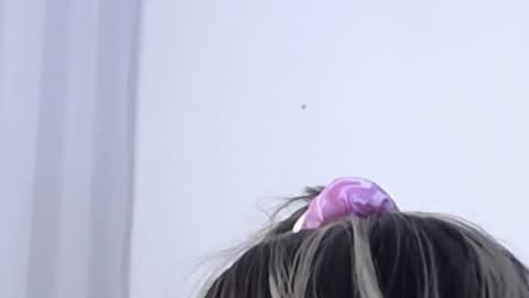 Help me with rate thanks  online show from 01.03.25