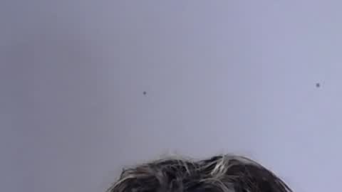 Help me with rate thanks  online show from 02.02.25