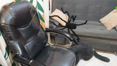 kathie_lozada online show from 10.28.25