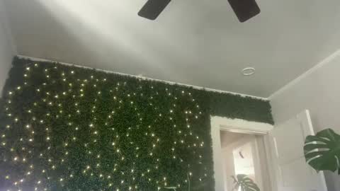 Kate online show from 12.30.24