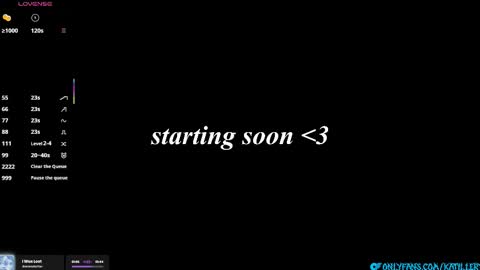 Snapshot of katillery chatting on 01.16.26 Katie online show from 01.16.26