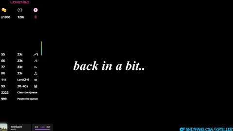 Snapshot of katillery chatting on 02.15.26 Katie online show from 02.15.26