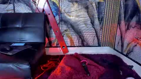 Snapshot of katizaldana chatting on 06.18.26 kati online show from 06.18.26