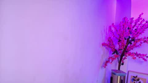 Katrina online show from 12.13.25