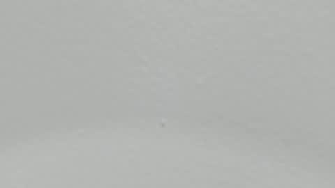 katy blonde girl and paola big boobs online show from 01.09.25