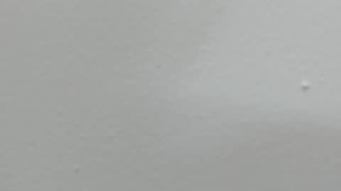 katy blonde girl and paola big boobs online show from 02.18.25