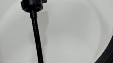 katy blonde girl and paola big boobs online show from 09.26.25