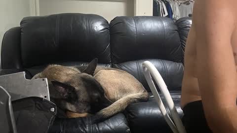 Dexter online show from 02.16.25