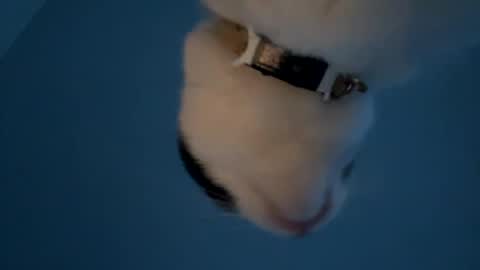 Snapshot of keepquietj chatting on 01.20.25 keepquietj online show from 01.20.25