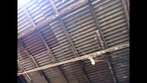 Mistress online show from 02.02.25