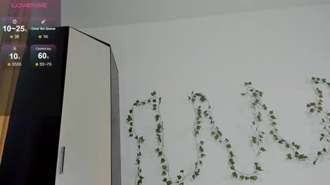 Snapshot of kelly_jacksoon chatting on 12.24.24 Kelly online show from 12.24.24