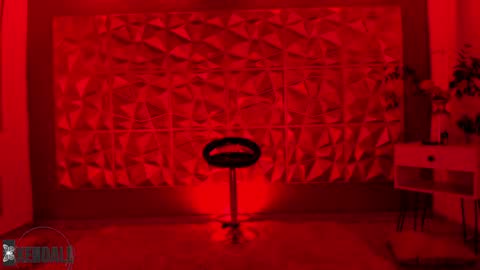 Kendall online show from 12.15.24