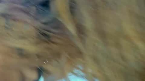 Kendal  online show from 11.27.25