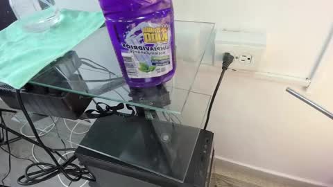 Kendra London online show from 02.07.26