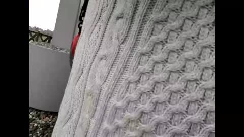 kenhiking online show from 02.19.26