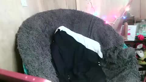 Kennedy Nova  online show from 01.26.25