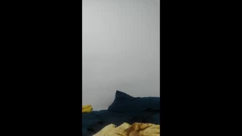 kenzo6140 online show from 03.30.26