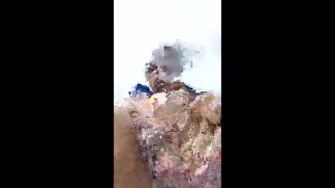 kenzo6140 online show from 04.12.26