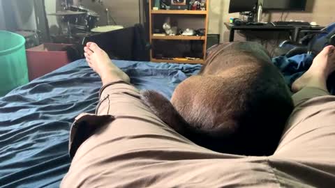 KerryFlote online show from 10.11.25