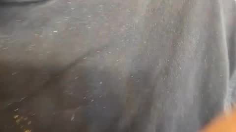 kevinevans448 online show from 09.09.25