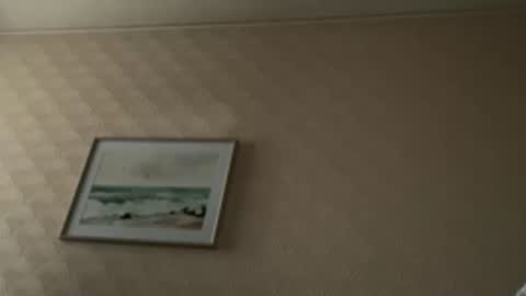 khelt online show from 02.06.26