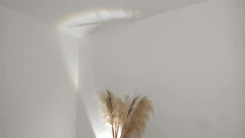 Kim Murphy online show from 04.01.26