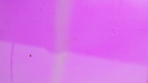 Your Queen KIM online show from 12.07.24