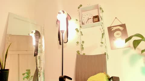 Kimm online show from 01.14.25