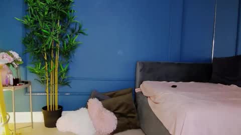 kimmdaviss online show from 02.21.26