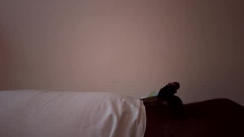 AsYouLikeCock online show from 04.09.26