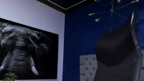 Angel Falconer online show from 02.01.26