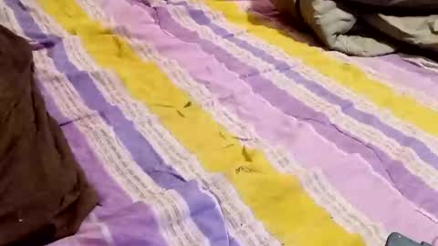 kingbat30 online show from 03.02.25